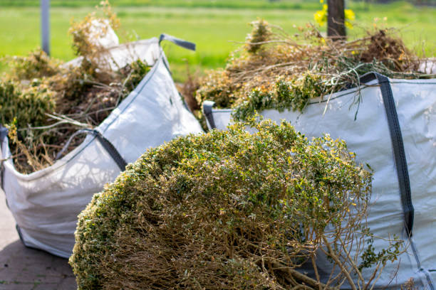  Willow Creek, CA Junk Removal Pros